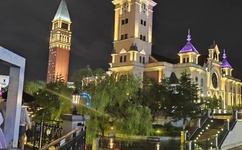 野花中文免费观看6